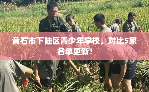 黄石市下陆区青少年学校，对比5家名单更新！