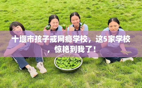 十堰市孩子戒网瘾学校，这5家学校，惊艳到我了！