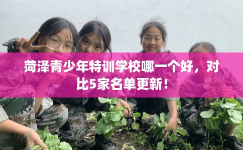 菏泽青少年特训学校哪一个好,对比5家名单更新! 菏泽青少年特训学校哪一个好,对比5家名单更新!