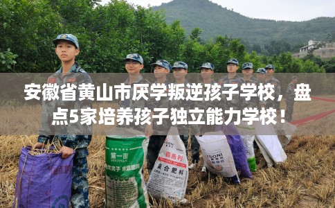 安徽省黄山市厌学叛逆孩子学校,盘点5家培养孩子独立能力学校! 安徽省黄山市厌学叛逆孩子学校,盘点5家培养孩子独立能力学校!