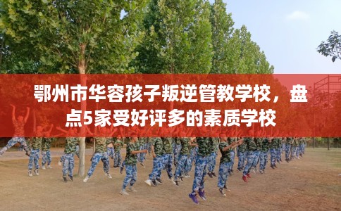 鄂州市华容孩子叛逆管教学校，盘点5家受好评多的素质学校