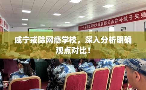 咸宁戒除网瘾学校,深入分析明确观点对比! 咸宁戒除网瘾学校,深入分析明确观点对比!