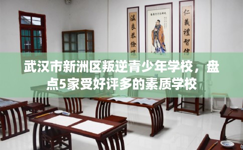 武汉市新洲区叛逆青少年学校，盘点5家受好评多的素质学校