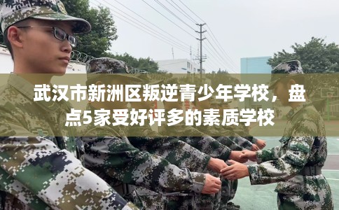 武汉市新洲区叛逆青少年学校，盘点5家受好评多的素质学校