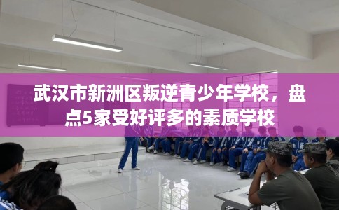 武汉市新洲区叛逆青少年学校，盘点5家受好评多的素质学校