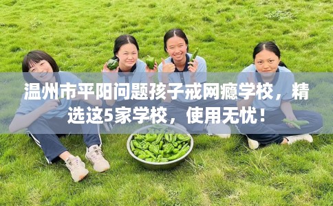 温州市平阳问题孩子戒网瘾学校，精选这5家学校，使用无忧！