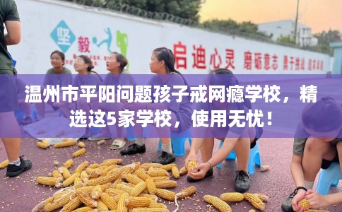 温州市平阳问题孩子戒网瘾学校，精选这5家学校，使用无忧！