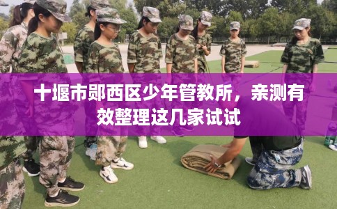 十堰市郧西区少年管教所，亲测有效整理这几家试试