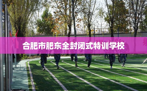 合肥市肥东全封闭式特训学校
