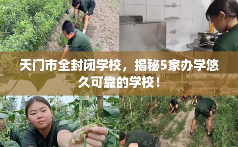 天门市全封闭学校,揭秘5家办学悠久可靠的学校! 天门市全封闭学校,揭秘5家办学悠久可靠的学校!