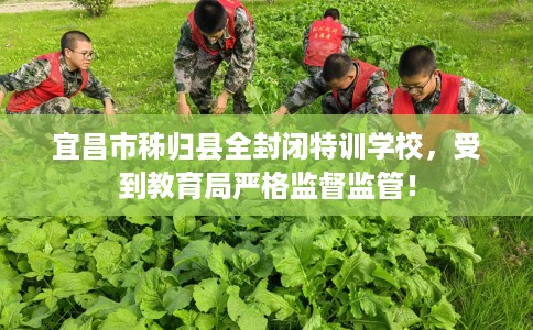 宜昌市秭归县全封闭特训学校，受到教育局严格监督监管！