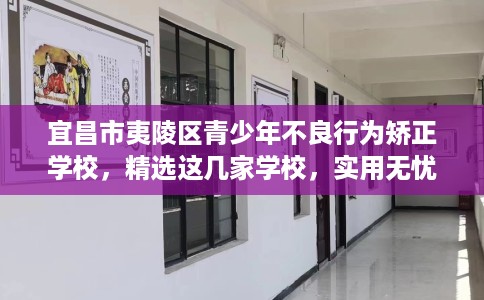 宜昌市夷陵区青少年不良行为矫正学校，精选这几家学校，实用无忧！