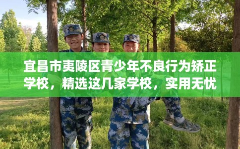 宜昌市夷陵区青少年不良行为矫正学校，精选这几家学校，实用无忧！