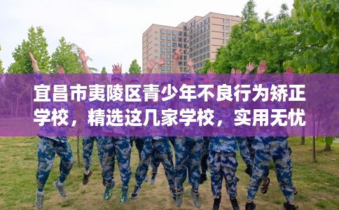 宜昌市夷陵区青少年不良行为矫正学校，精选这几家学校，实用无忧！