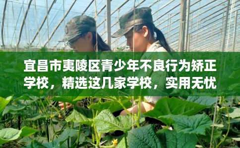 宜昌市夷陵区青少年不良行为矫正学校，精选这几家学校，实用无忧！