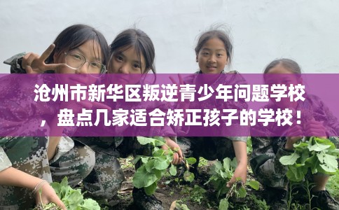 沧州市新华区叛逆青少年问题学校，盘点几家适合矫正孩子的学校！