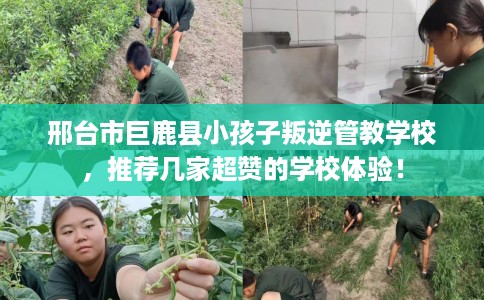 邢台市巨鹿县小孩子叛逆管教学校，推荐几家超赞的学校体验！