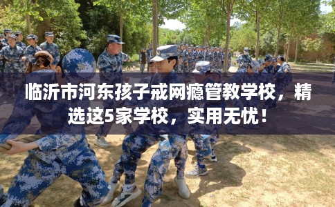 临沂市河东孩子戒网瘾管教学校，精选这5家学校，实用无忧！