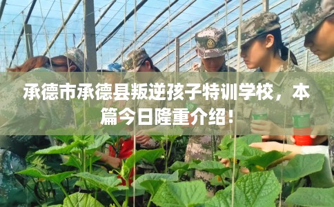 承德市承德县叛逆孩子特训学校,本篇今日隆重介绍! 承德市承德县叛逆孩子特训学校,本篇今日隆重介绍!