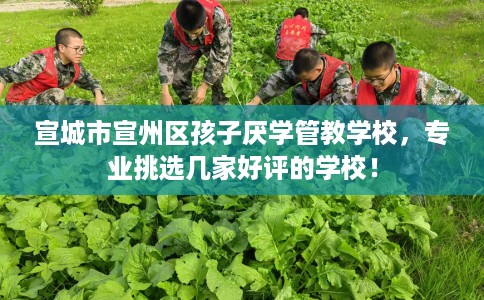 宣城市宣州区孩子厌学管教学校,专业挑选几家好评的学校! 宣城市宣州区孩子厌学管教学校,专业挑选几家好评的学校!