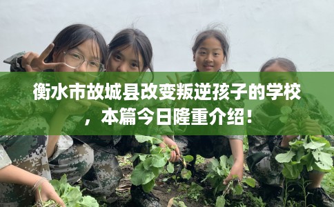 衡水市故城县改变叛逆孩子的学校,本篇今日隆重介绍! 衡水市故城县改变叛逆孩子的学校,本篇今日隆重介绍!