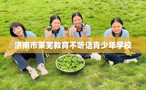 济南市莱芜教育不听话青少年学校 济南市莱芜教育不听话青少年学校