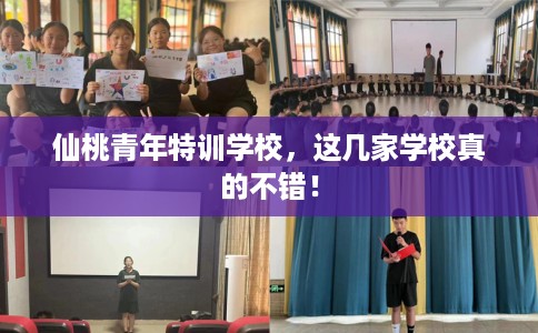 仙桃青年特训学校，这几家学校真的不错！