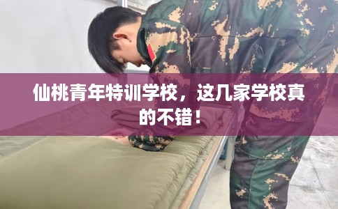 仙桃青年特训学校，这几家学校真的不错！