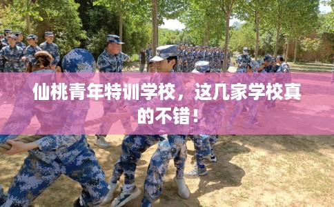 仙桃青年特训学校，这几家学校真的不错！