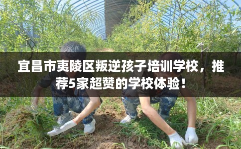 宜昌市夷陵区叛逆孩子培训学校,推荐5家超赞的学校体验! 宜昌市夷陵区叛逆孩子培训学校,推荐5家超赞的学校体验!