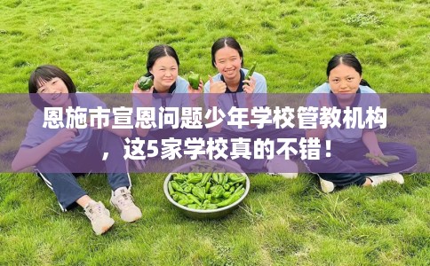 恩施市宣恩问题少年学校管教机构,这5家学校真的不错! 恩施市宣恩问题少年学校管教机构,这5家学校真的不错!