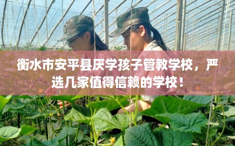 衡水市安平县厌学孩子管教学校,严选几家值得信赖的学校! 衡水市安平县厌学孩子管教学校,严选几家值得信赖的学校!