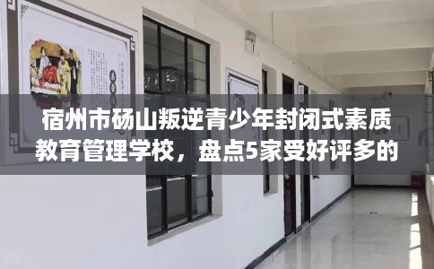 宿州市砀山叛逆青少年封闭式素质教育管理学校,盘点5家受好评多的素质学校 宿州市砀山叛逆青少年封闭式素质教育管理学校,盘点5家受好评多的素质学校