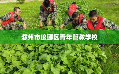 滁州市琅琊区青年管教学校 滁州市琅琊区青年管教学校