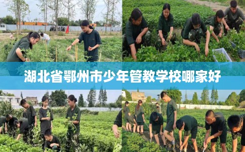 湖北省鄂州市少年管教学校哪家好 湖北省鄂州市少年管教学校哪家好