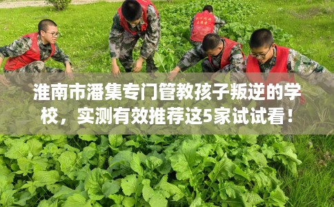 淮南市潘集专门管教孩子叛逆的学校,实测有效推荐这5家试试看! 淮南市潘集专门管教孩子叛逆的学校,实测有效推荐这5家试试看!