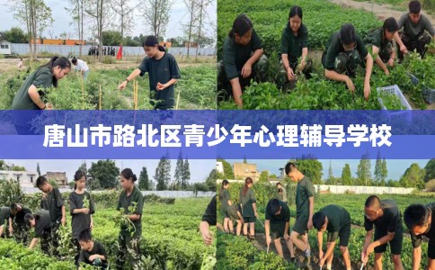 唐山市路北区青少年心理辅导学校 唐山市路北区青少年心理辅导学校