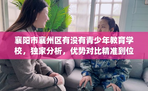 襄阳市襄州区有没有青少年教育学校，独家分析，优势对比精准到位！