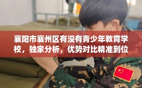 襄阳市襄州区有没有青少年教育学校，独家分析，优势对比精准到位！