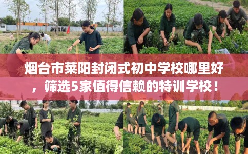 烟台市莱阳封闭式初中学校哪里好，筛选5家值得信赖的特训学校！