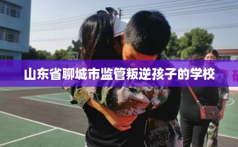 山东省聊城市监管叛逆孩子的学校