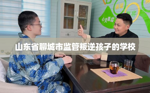 山东省聊城市监管叛逆孩子的学校
