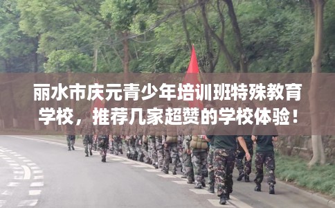 丽水市庆元青少年培训班特殊教育学校，推荐几家超赞的学校体验！