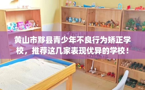 黄山市黟县青少年不良行为矫正学校，推荐这几家表现优异的学校！