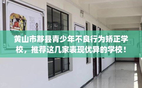 黄山市黟县青少年不良行为矫正学校，推荐这几家表现优异的学校！