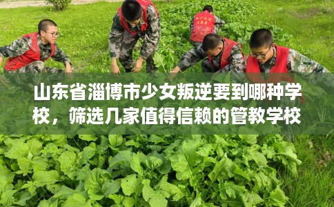 山东省淄博市少女叛逆要到哪种学校，筛选几家值得信赖的管教学校！