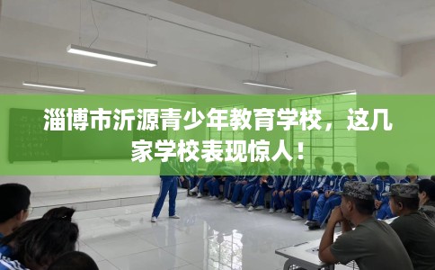 淄博市沂源青少年教育学校，这几家学校表现惊人！