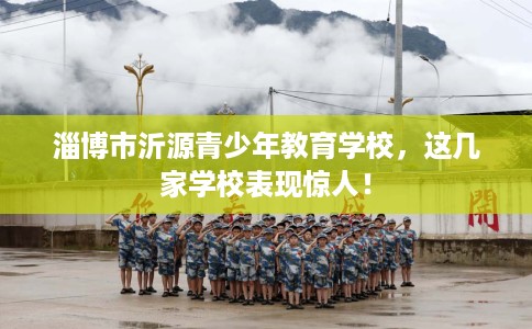 淄博市沂源青少年教育学校，这几家学校表现惊人！