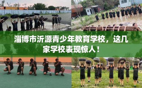 淄博市沂源青少年教育学校，这几家学校表现惊人！