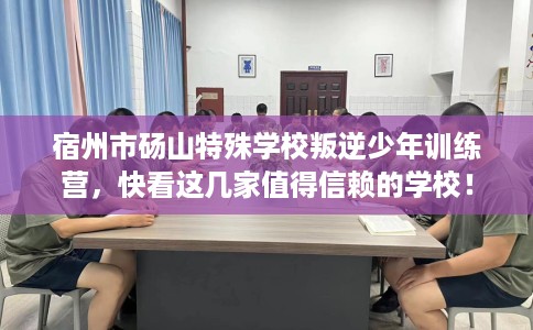 宿州市砀山特殊学校叛逆少年训练营,快看这几家值得信赖的学校! 宿州市砀山特殊学校叛逆少年训练营,快看这几家值得信赖的学校!